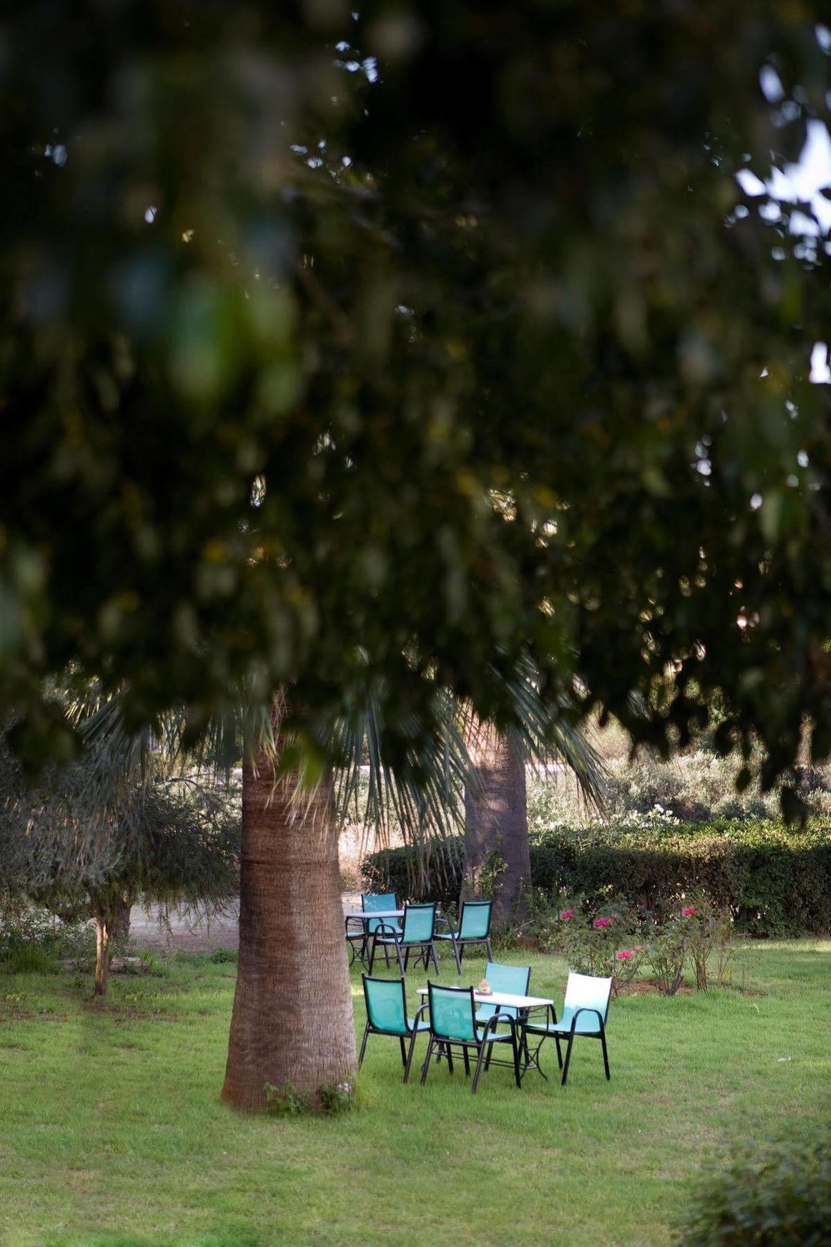 Villa Life Agia Marina  Exterior photo